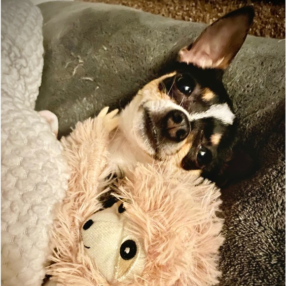 Meet your Posher, Maria Delia - Picture 4 of 7